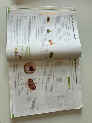 Bioloxía e Xeoloxía. 3 Secundaria. Revoa