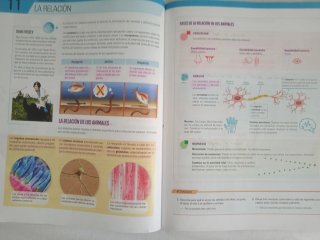 Biología y Geología I, ESO, Secundaria, De otra...