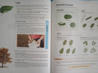 Biología y Geología I, ESO, Secundaria, De otra...
