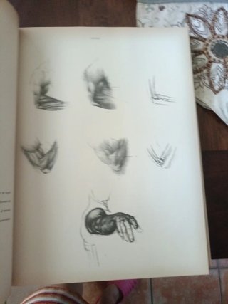 Anatomía artística