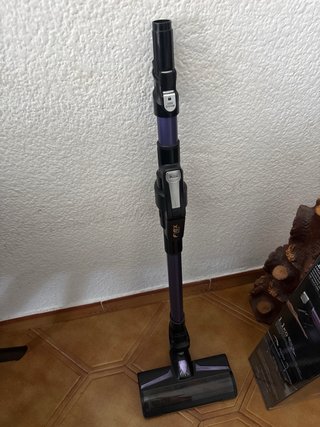 Rowenta X-Force Flex 9.60 Aspirador