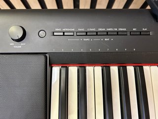 Yamaha Piaggero NP-15B