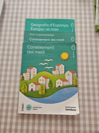 Coneixement del Medi, 6 Primària, Projecte Cons...