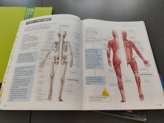 Conocimiento del Medio 6, Tercer Ciclo Primaria...