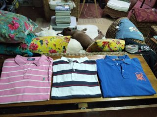 Lote 3 polos Ralph Lauren/Náutica