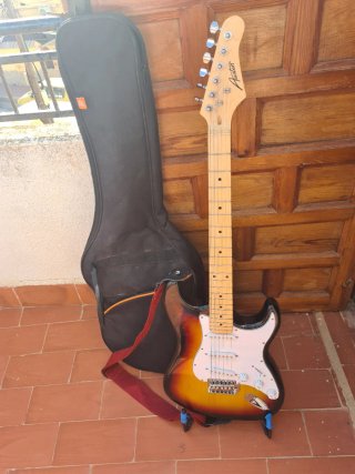 Guitarra Eléctrica Austin Tipo Stratocaster