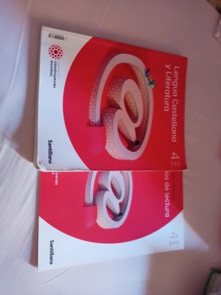 Lengua Castellana y Literatura, 4 ESO, Proyecto...