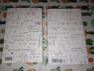 Leonardo Susskind. Quantum Mechanics Special Relat