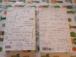 Leonardo Susskind. Quantum Mechanics Special Relat