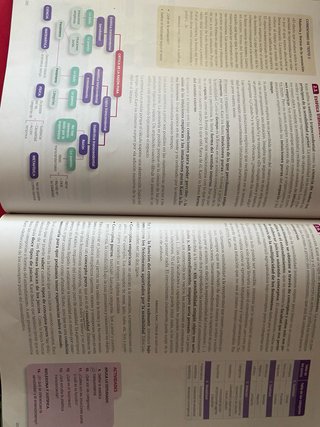 Libro Filosofia 2 bachiller Santillana