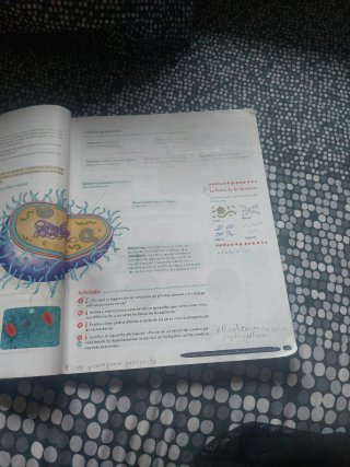 Biología y Geología 1º ESO. Libro del estudiant...