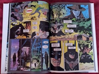 Batman: The cult
