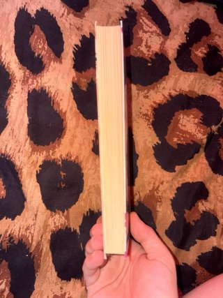 libro cuando descubras colores en la nieve
