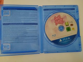 Gang Beasts PS4