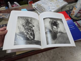 La Nueva visión fotografía de entraguerras : Fo...