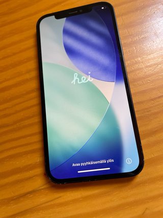 iPhone 12 Negro