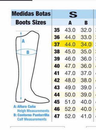Botas de doma Zaldi 37S