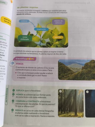 CIENCIAS DA NATUREZA 5 PRIMARIA CONSTRUINDO MUNDOS