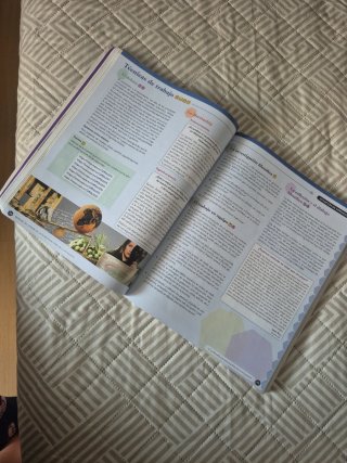 Historia de la Filosofía, 2 Bachillerato, Genio...