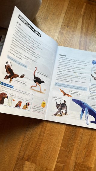 Ciencias de la Naturaleza 3 : Segundo Ciclo Pri...
