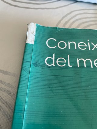 Coneixement del Medi, 6 Primària, Projecte Cons...
