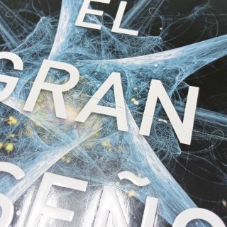 El gran diseño