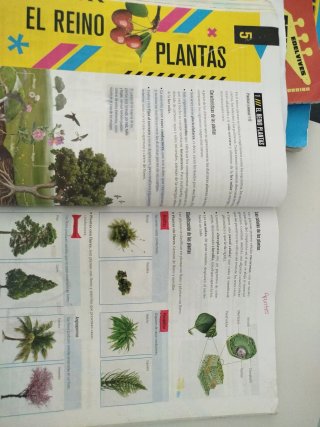 Proyecto: FanFest - Biología y Geología 1 ESO
