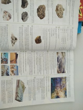 Proyecto: FanFest - Biología y Geología 1 ESO