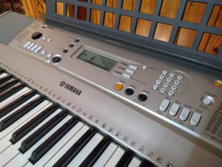 Teclado Yamaha PSR E313