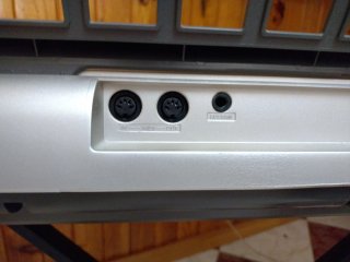 Teclado Yamaha PSR E313