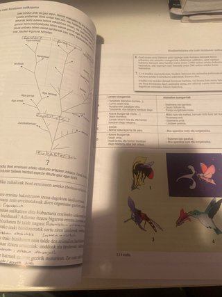 Biologia Batxilergoa 1