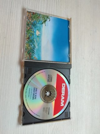 Savoy Brown - Skin 'n' Bone CD