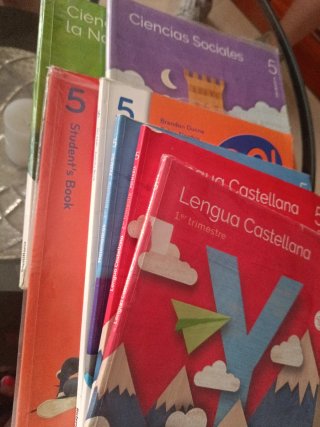 Lote libros Santillana 5°primaria