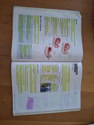 Proyecto: FanFest - Biología y Geología 3 ESO