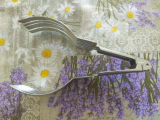 Pinza Inox per tagliare arrosto Vintage