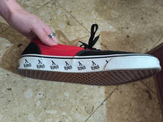 Zapatillas Vans New Varsity *Precio negociable*