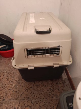Guacal grande para perro