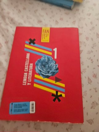 Lengua castellana y literatura 1 Secundaria