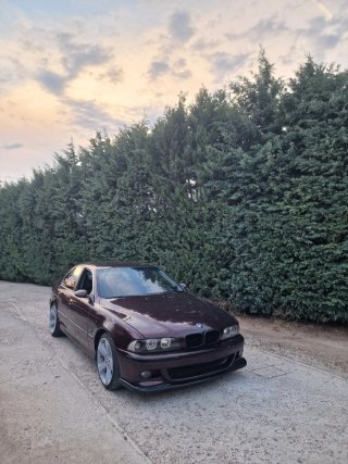 BMW Serie 5 2001