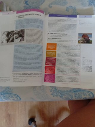 Filosofía 1o bachillerato