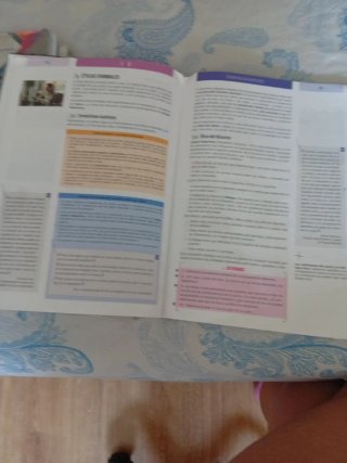 Filosofía 1o bachillerato