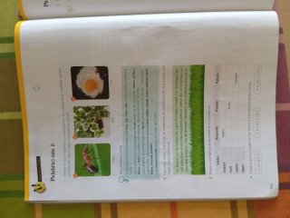 Lengua 6 Primaria : Operación Mundo