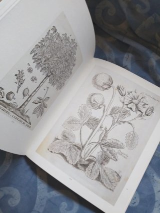 Libro sobre Las Plantas