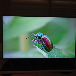 Samsung Crystal UHD 43 4K Smart TV