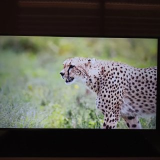 Samsung Crystal UHD 43 4K Smart TV