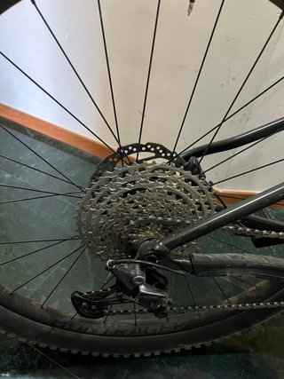 Trek Roscoe 7 M 2024