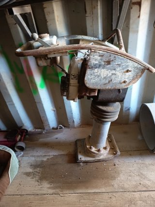 Rana compactadora