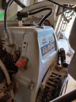 Rana compactadora