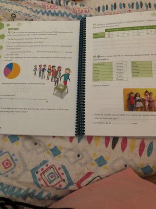 Matemàtiques 6 educació primària