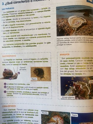 BIOLOGIA Y GEOLOGIA 1 MADRID (COMUNIDAD EN RED)